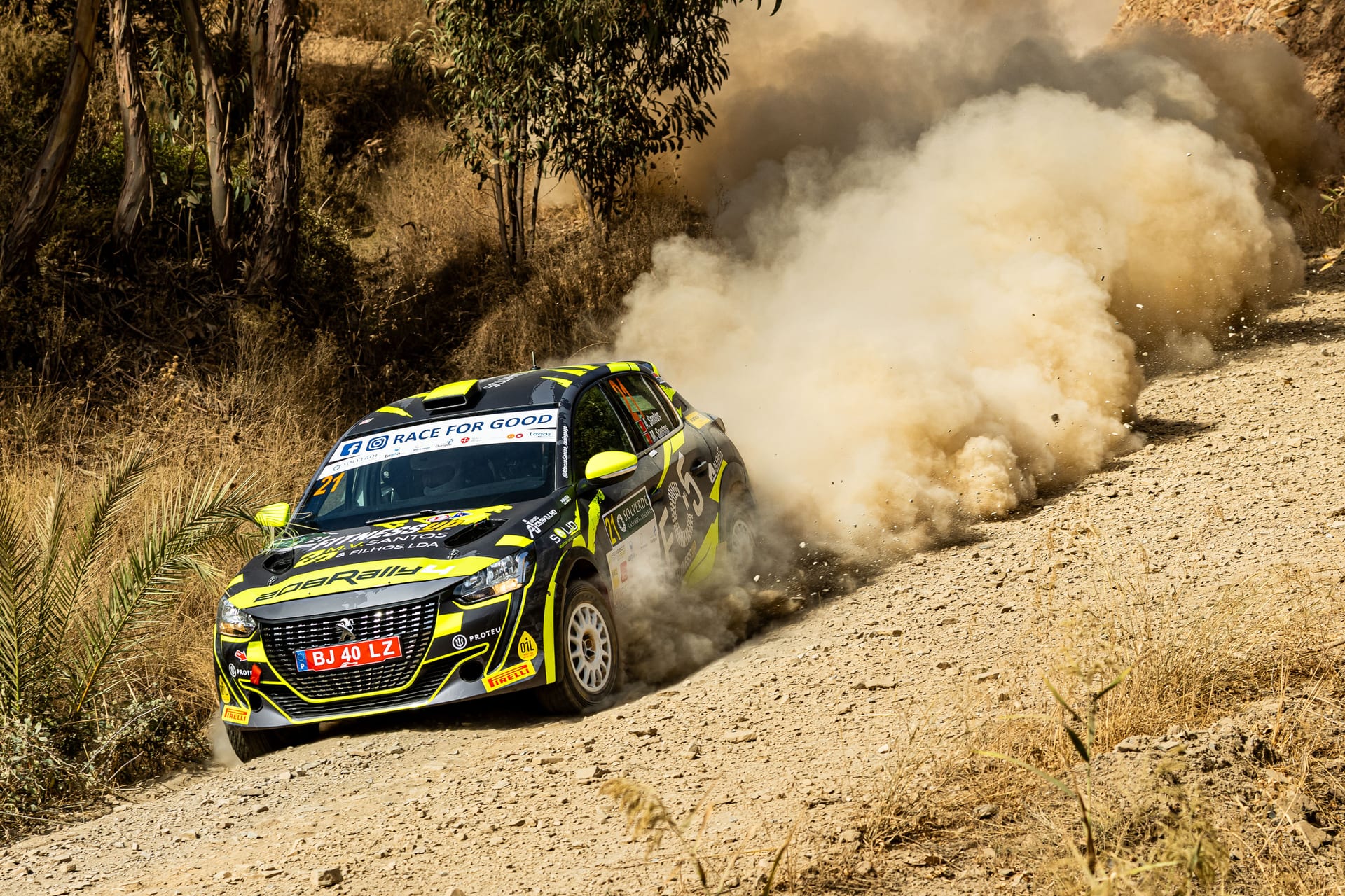 Afonso Santos no Peugeot 208 Rally4 — fotografia 3